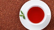 SA tea company eyes growth in European export market