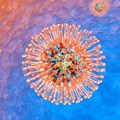 Most people are infected with the herpes simplex virus by the time they reach old age. Spectral-Design/Shutterstock.com