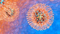 Most people are infected with the herpes simplex virus by the time they reach old age. Spectral-Design/Shutterstock.com