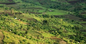 New report highlights 5 agricultural investment opportunities in Africa