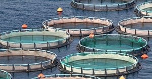 Fish farming at industrial scale: a Turkish case study