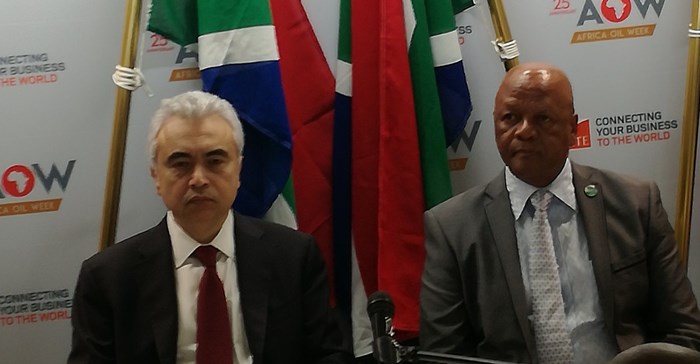 Dr Fatih Birol, executive director, International Energy Agency, and South African Energy Minister Jeff Radebe