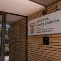 Fisheries department rots from the top