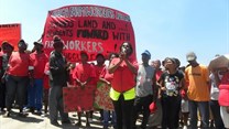 Farm workers demand dividends from black empowerment scheme