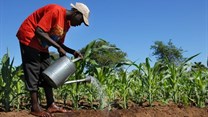 Food security in Africa depends on rethinking outdated water law