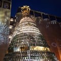 South African Youth Choir, Cape Town City Ballet to perform at Moët & Chandon's golden tree lighting ceremony