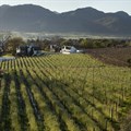 KWV bottling operations affected following fire
