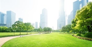 Viable forest solutions are needed to build greener, healthier cities says FAO