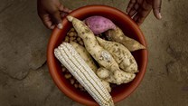 Transforming the African agribusiness sector: Tech, transparency hold key to inclusive growth