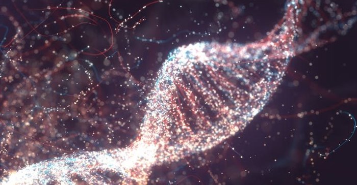 One test to diagnose them all: researchers exploit cancers' unique DNA signature