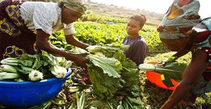 Africa farmers need finance that is focused on the entire value chain