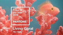 Pantone colour of the year 2019: Living Coral