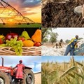 #BestofBiz 2018: Agriculture