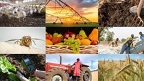 #BestofBiz 2018: Agriculture