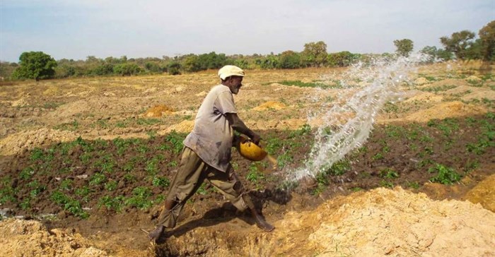 Farmer irrigating vegetables in Mali ©Tingju Zhu/IFPRI