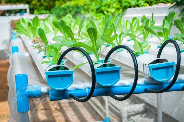 We have seen the advances of hydroponic farming.