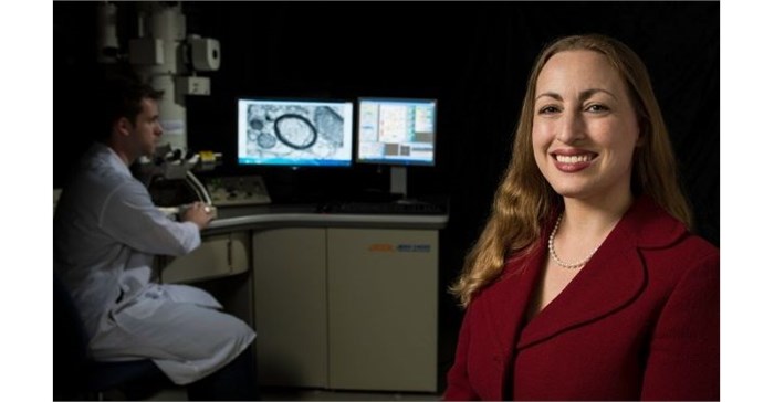 Michelle Monje and her colleagues found that the chemotherapy drug methotrexate can affect three major types of brain cells, resulting in a phenomenon known as &quot;chemo brain.&quot;<p>Steve Fisch