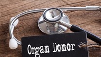 Many countries around the world can’t meet the demand for donor organs. Shutterstock