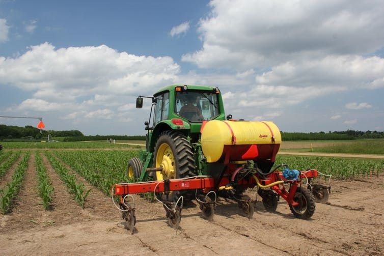 Applying nitrogen fertilizer to corn at the W.K. Kellogg Biological Station, a research site in Michigan.