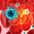 Yale scientists examine how an immune system protein helps suppress HIV