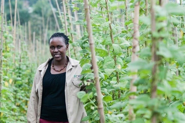 Clare Mukankusi breeds beans for a gene bank in Kawanda, Uganda, with properties including drought resilience to help farmers cope with extreme conditions.