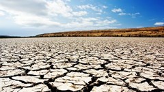 How drought affects freshwater fish