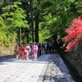 Go off the beaten track, explore a city of wonder with Walk Japan