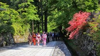 Go off the beaten track, explore a city of wonder with Walk Japan