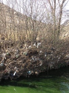 Plastic bag litter along the Jukskei River, Johannesburg, South Africa. ,