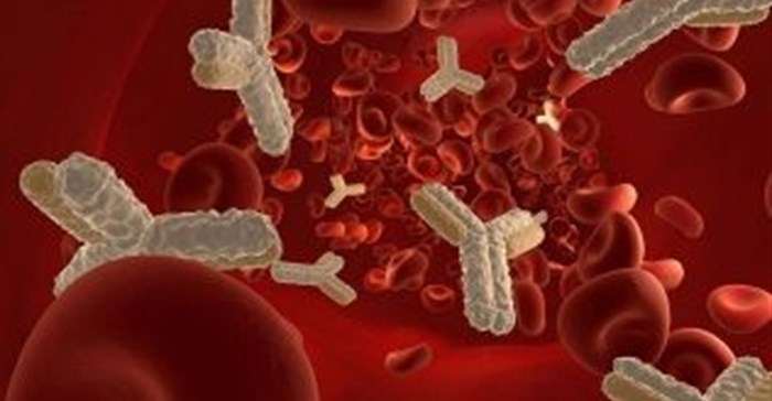 Antibody could increase cure rate for blood, immune disorders