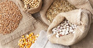 Why poor storage and handling are to blame for Uganda's poor quality seed