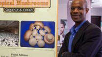 Local mushroom farmer named Pick n Pay's Small Supplier of the Year