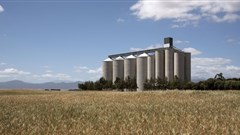 Local companies urged to tap into Gulf agro-processing sector