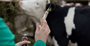Why farmers need to rethink the use of shotgun antibiotics