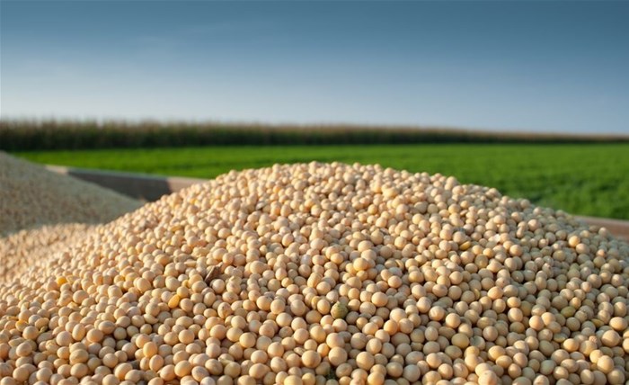 How competitive is the SA soya bean industry?