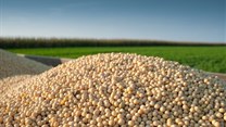 How competitive is the SA soya bean industry?