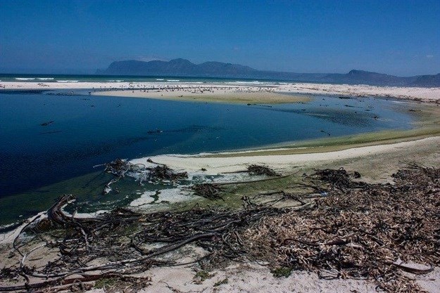 Green-brown water flows directly from the Cape Flats sewage works into False Bay at Strandfontein and remains trapped in the surf zone. The last full national Green Drop Report of 2011 scored the quality of this treated water at 20%. Without independent testing, it is very difficult for the public to find out if it has since improved. On the day this photograph was taken, 23 February 2018, the sewage smell of the water remained strong despite a breeze coming in from the sea. Photo: Steve Kretzmann/WCN