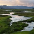 Earth observation data offers hope for Africa's wetlands