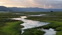 Earth observation data offers hope for Africa's wetlands