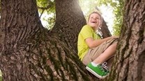 3 reasons why climbing a tree is better than watching a screen...