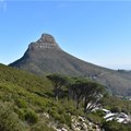 Lion's Head visitors urged to stay clear of demarcated areas