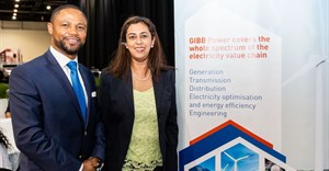 Richard Vries, group CEO of GIBB and Kiren Maharaj, MD of GIBB Power