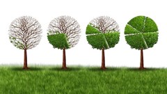 Green economy to grow SA economy