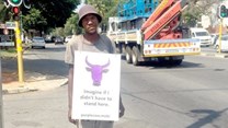 The Purple Cow walking billboards campaign.