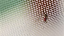 Antimalarial drugs on bed nets could lead to drop in malaria transmission