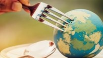 What SA dietitians say about the planetary health diet