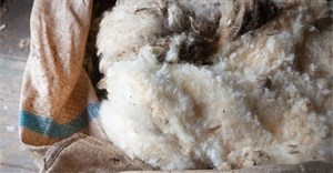 SA wool market resilient despite China's suspension