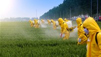 Cape Town farmers plead with SA government to ban glyphosate