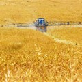 Competitiveness of the agro-chemical industry investigated