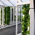 UJ to host inaugural African Conference on Vertical Farming and Urban Agriculture